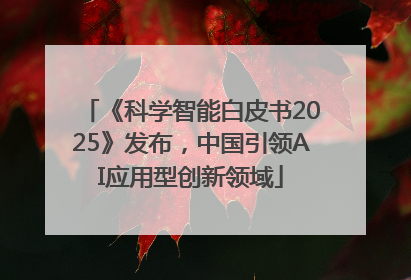 《科学智能白皮书2025》发布，中国引领AI应用型创新领域