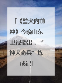 《警犬向前冲》今晚山东卫视播出，“神犬奇兵”炼成记