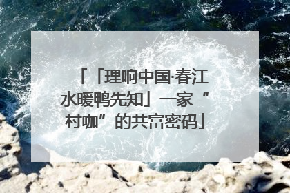 「理响中国·春江水暖鸭先知」一家“村咖”的共富密码