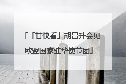 「甘快看」胡昌升会见欧盟国家驻华使节团