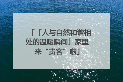 「人与自然和谐相处的温暖瞬间」家里来“贵客”啦