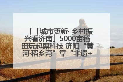 「城市更新· 乡村振兴看济南」5000亩稻田玩起黑科技 济阳“黄河·稻乡湾”靠“非遗+露营”火出圈