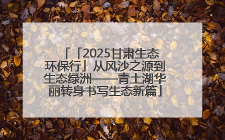 「2025甘肃生态环保行」从风沙之源到生态绿洲——青土湖华丽转身书写生态新篇