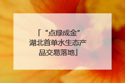 “点绿成金” 湖北首单水生态产品交易落地