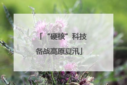 “硬核”科技备战高原夏汛