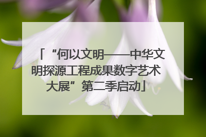 “何以文明——中华文明探源工程成果数字艺术大展”第二季启动