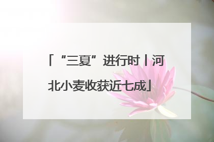 “三夏”进行时丨河北小麦收获近七成
