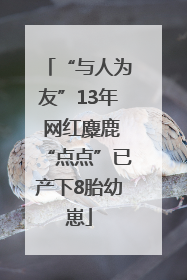 “与人为友”13年 网红麋鹿“点点”已产下8胎幼崽