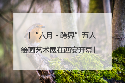 “六月 - 跨界”五人绘画艺术展在西安开幕