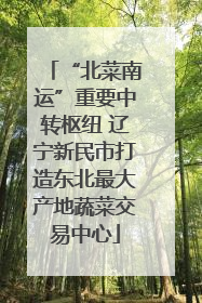 “北菜南运”重要中转枢纽 辽宁新民市打造东北最大产地蔬菜交易中心