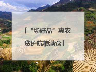 “场好品”惠农贷护航粮满仓