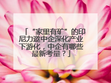 “家里有矿”的印尼力邀中企深化产业下游化，中企有哪些最新考量？