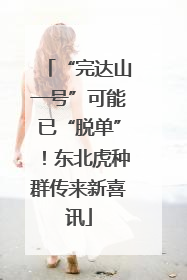 “完达山一号”可能已“脱单”！东北虎种群传来新喜讯
