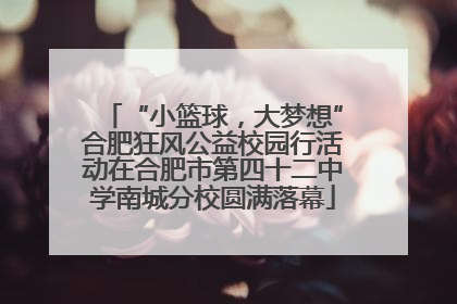 “小篮球，大梦想”合肥狂风公益校园行活动在合肥市第四十二中学南城分校圆满落幕