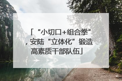 “小切口+组合拳”，安陆“立体化”锻造高素质干部队伍