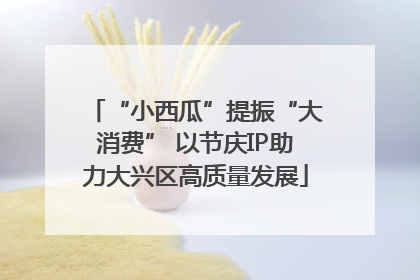 “小西瓜”提振“大消费” 以节庆IP助力大兴区高质量发展