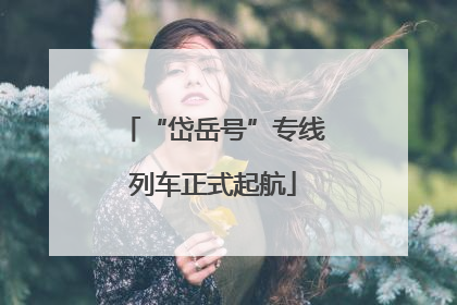 “岱岳号”专线列车正式起航