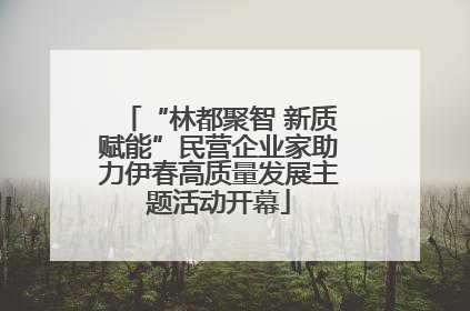“林都聚智 新质赋能”民营企业家助力伊春高质量发展主题活动开幕