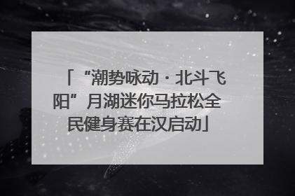 “潮势咏动・北斗飞阳”月湖迷你马拉松全民健身赛在汉启动