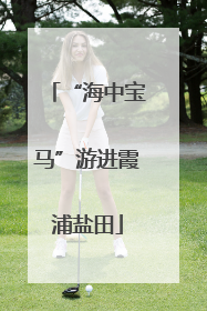 “海中宝马”游进霞浦盐田