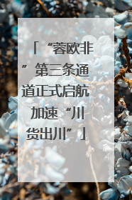 “蓉欧非”第三条通道正式启航 加速“川货出川”