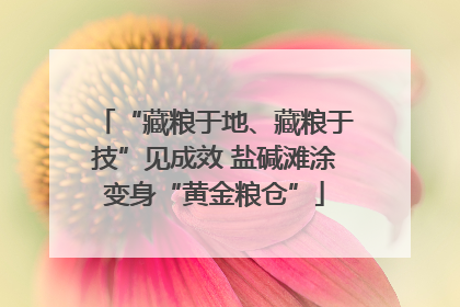 “藏粮于地、藏粮于技”见成效 盐碱滩涂变身“黄金粮仓”