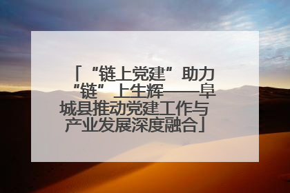 “链上党建”助力“链”上生辉——阜城县推动党建工作与产业发展深度融合
