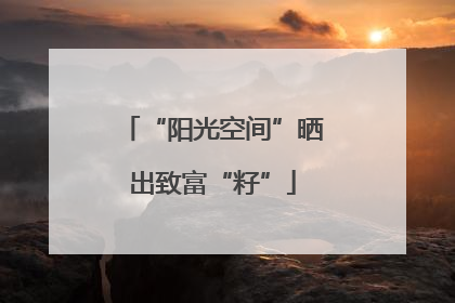 “阳光空间”晒出致富“籽”