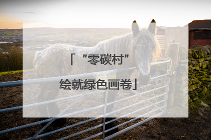 “零碳村” 绘就绿色画卷