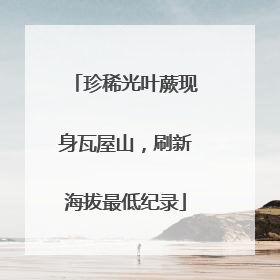 珍稀光叶蕨现身瓦屋山，刷新海拔最低纪录