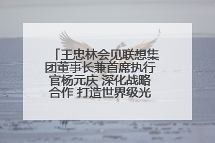 王忠林会见联想集团董事长兼首席执行官杨元庆 深化战略合作 打造世界级光电子信息产业集群