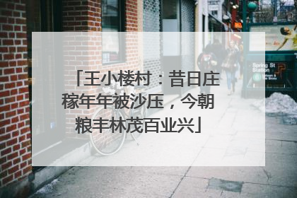 王小楼村：昔日庄稼年年被沙压，今朝粮丰林茂百业兴