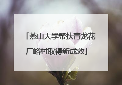 燕山大学帮扶青龙花厂峪村取得新成效