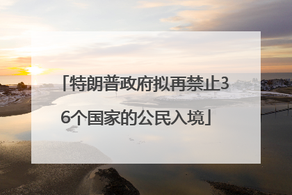 特朗普政府拟再禁止36个国家的公民入境