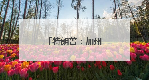 特朗普：加州州长和洛杉矶市长“无能”
