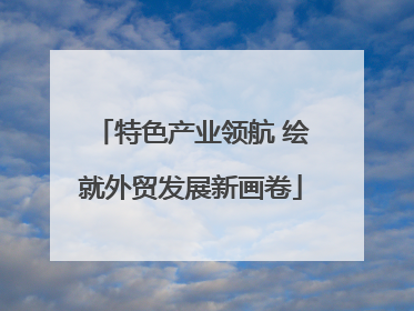 特色产业领航 绘就外贸发展新画卷
