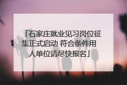 石家庄就业见习岗位征集正式启动 符合条件用人单位请尽快报名
