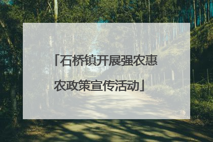 石桥镇开展强农惠农政策宣传活动