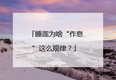 睡莲为啥“作息”这么规律？