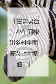 甘肃灵台：小车间榨出乡村全面振兴“幸福油”