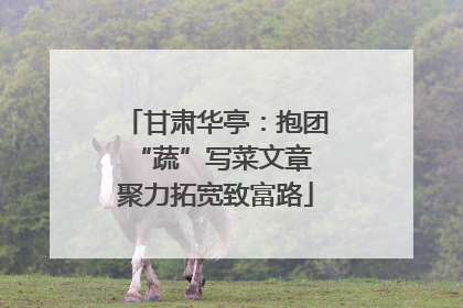 甘肃华亭：抱团“蔬”写菜文章 聚力拓宽致富路