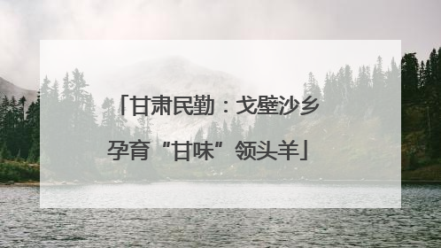 甘肃民勤：戈壁沙乡孕育“甘味”领头羊