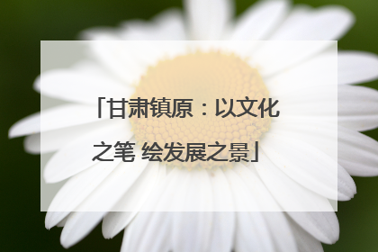 甘肃镇原：以文化之笔 绘发展之景
