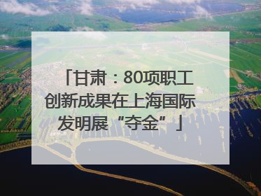 甘肃：80项职工创新成果在上海国际发明展“夺金”