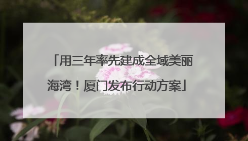 用三年率先建成全域美丽海湾！厦门发布行动方案