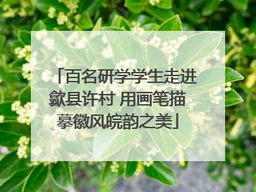 百名研学学生走进歙县许村 用画笔描摹徽风皖韵之美