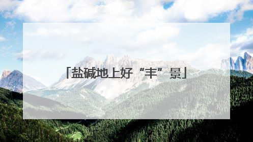 盐碱地上好“丰”景