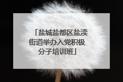 盐城盐都区盐渎街道举办入党积极分子培训班