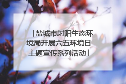 盐城市射阳生态环境局开展六五环境日主题宣传系列活动