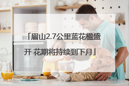 眉山2.7公里蓝花楹盛开 花期将持续到下月